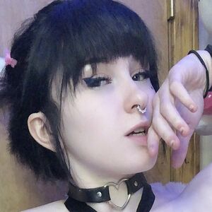 Bunniicult