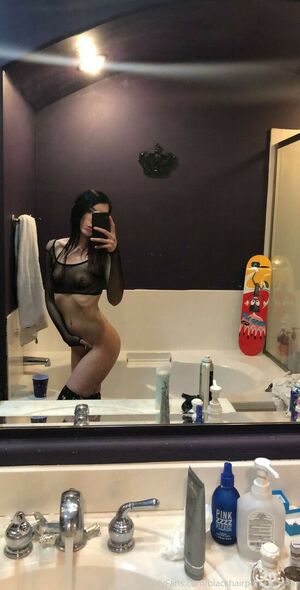 Dallee preview