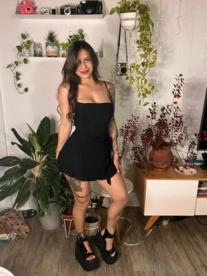brypunky.fit preview